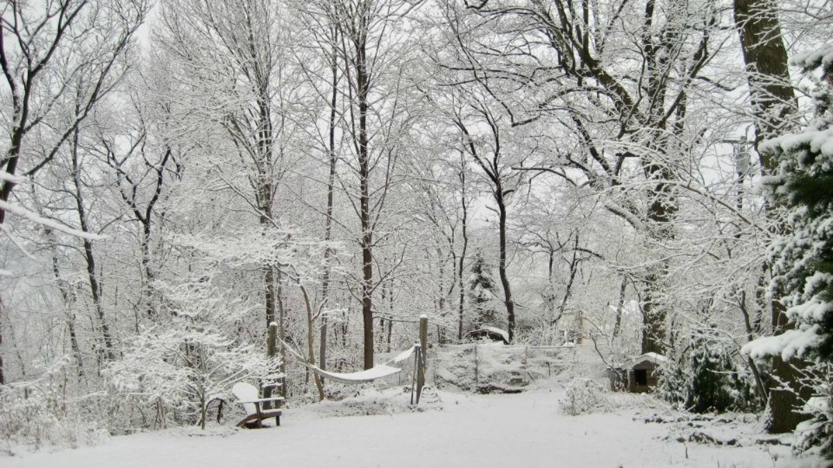 Connecticut Digging Out After Saturday Storm