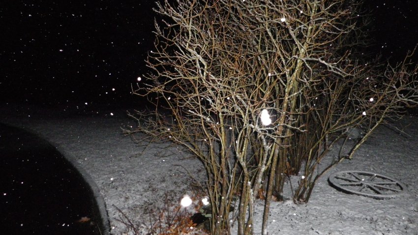 PM_WEB_WX_3292016_1200x675_654672963513.jpg