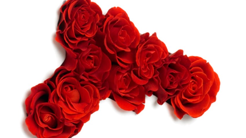 021409 Roses Gun