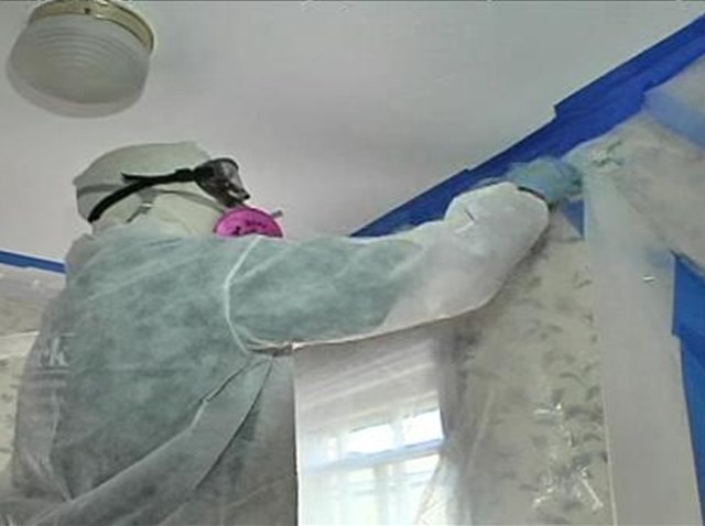 1304556_CRENSHAWLEADPAINTFIXPKG_640x480