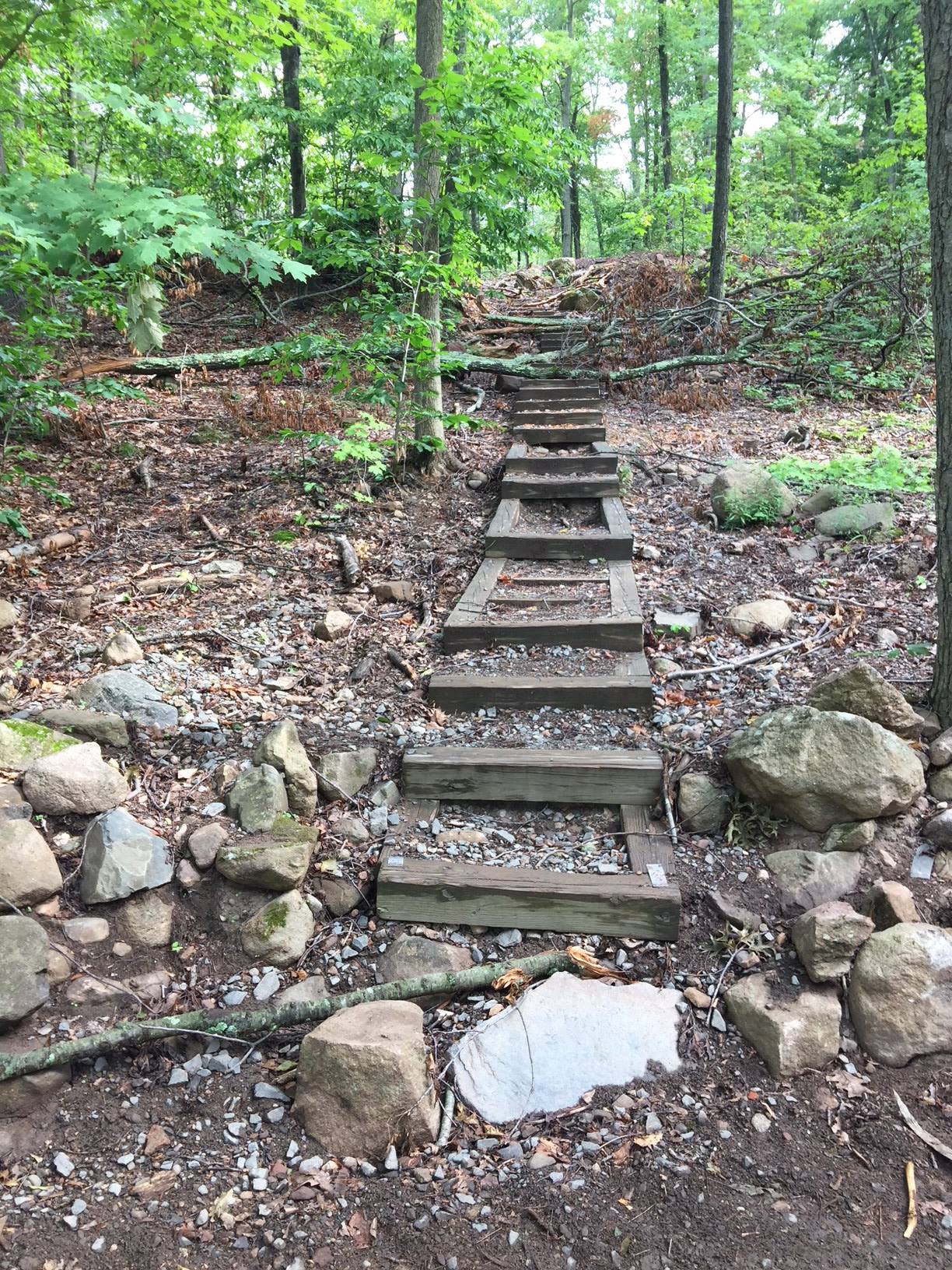 PHOTOS Look Back at Damage at Sleeping Giant State Park in Hamden