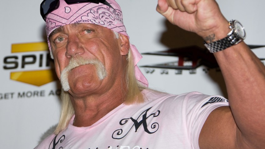 People Hulk Hogan