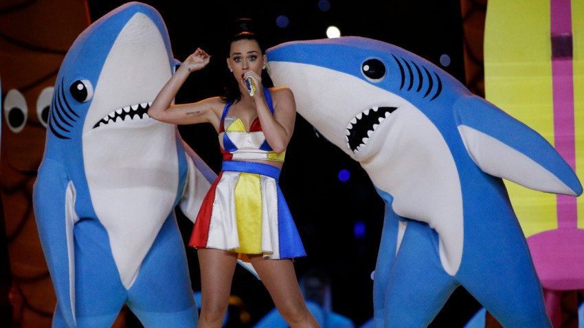 SUPER BOWL-TV