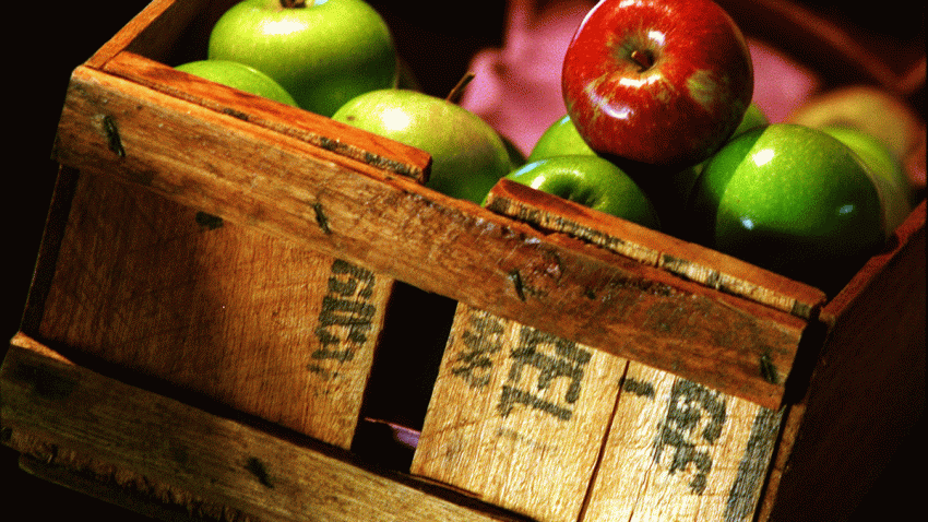 APPLE_GettyImages-539707251