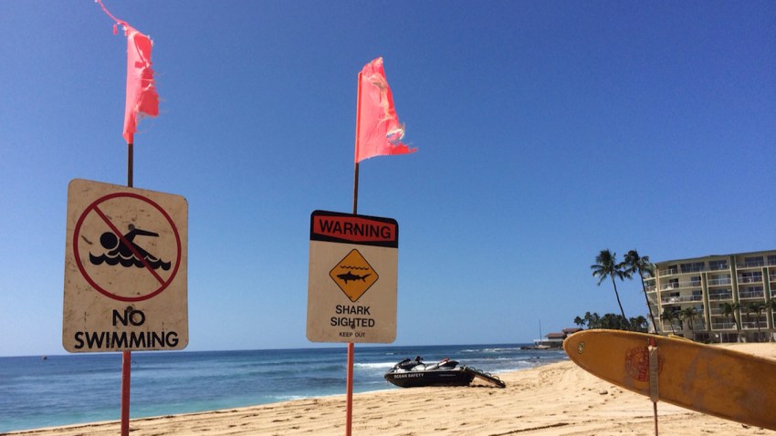 Shark Warnings Boy Attacked