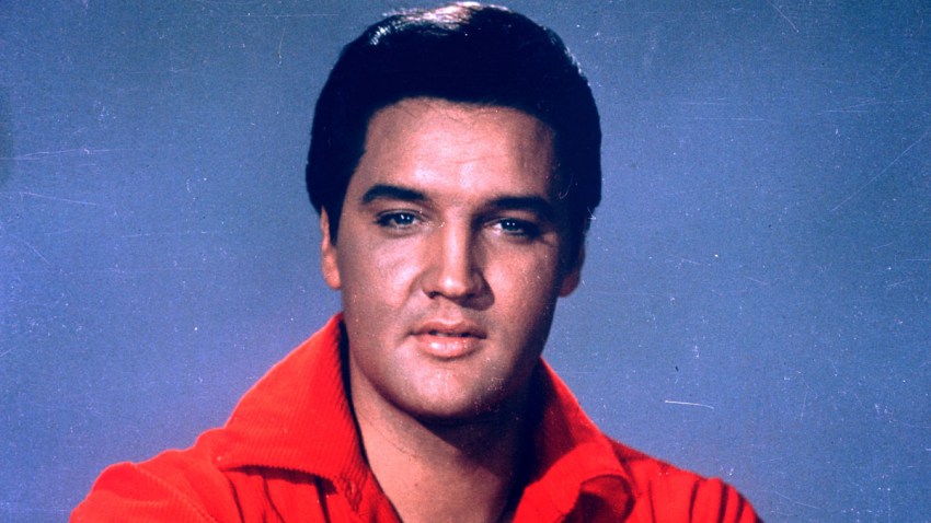 ELVIS