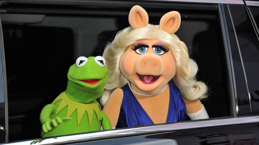 APTOPIX World Premiere of "Muppets Most Wanted" - Arrivals