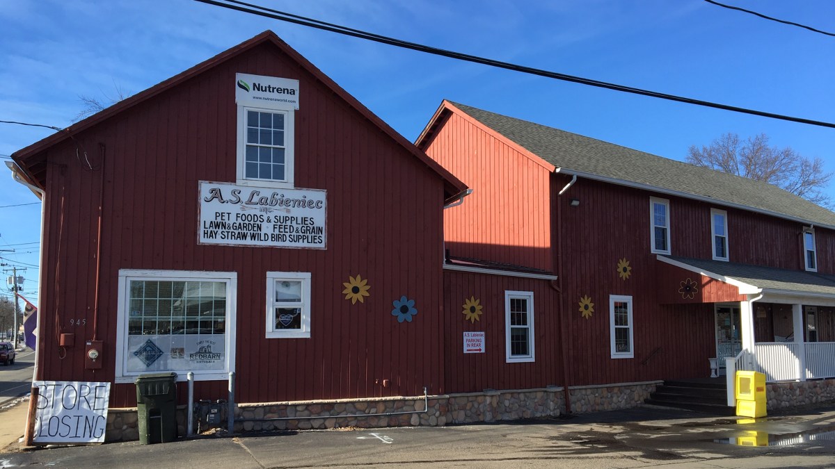 berlin-pet-supply-store-closing-after-140-years-in-business-nbc