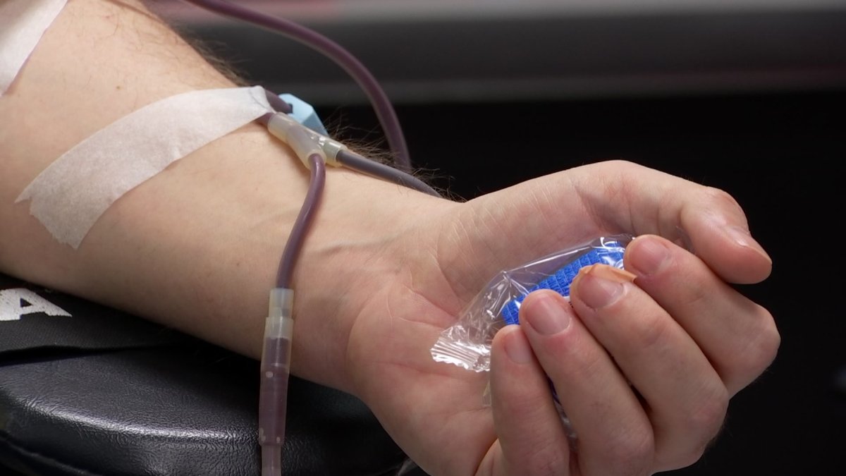 Hartford Woman Pushing to Diversify Blood-Donor Base - Vimarsana News