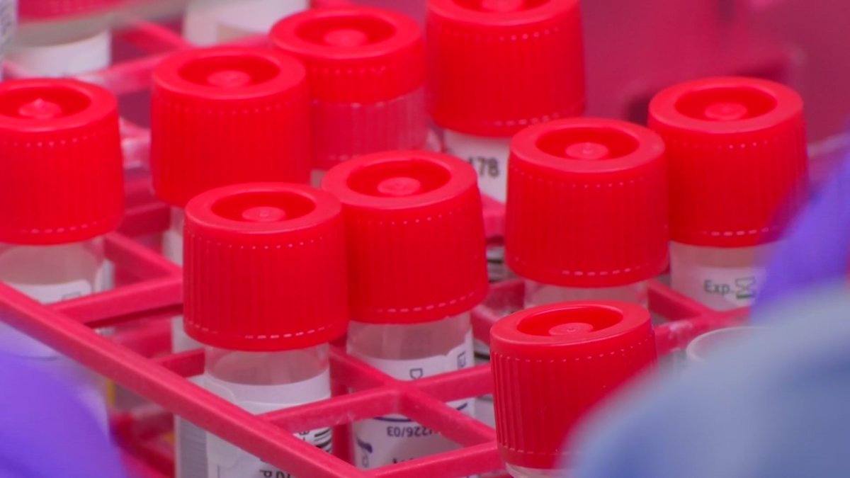 Positive COVID Test Percentage Remains Low in Connecticut NBC Connecticut