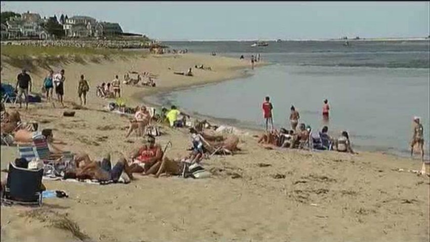Cape Cod Beach