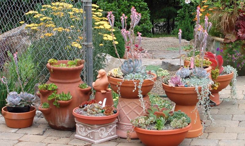 Carolsrockgarden001_3