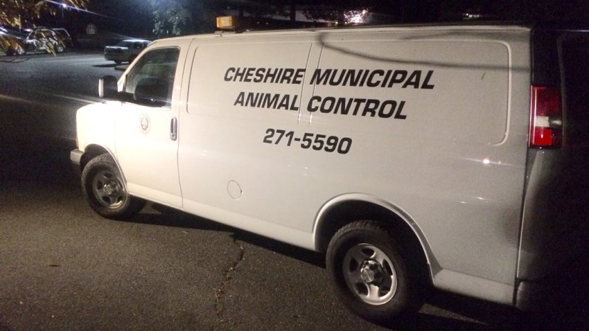 Cheshire-Animal-Control