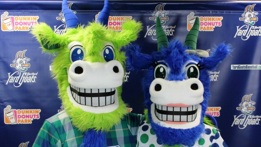 Chompers and Chew Chew 1200