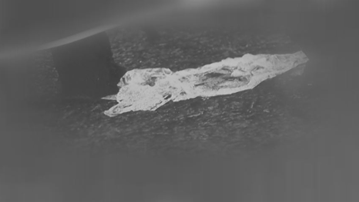 CultCaseWebStill_722x406_2210479426.jpg