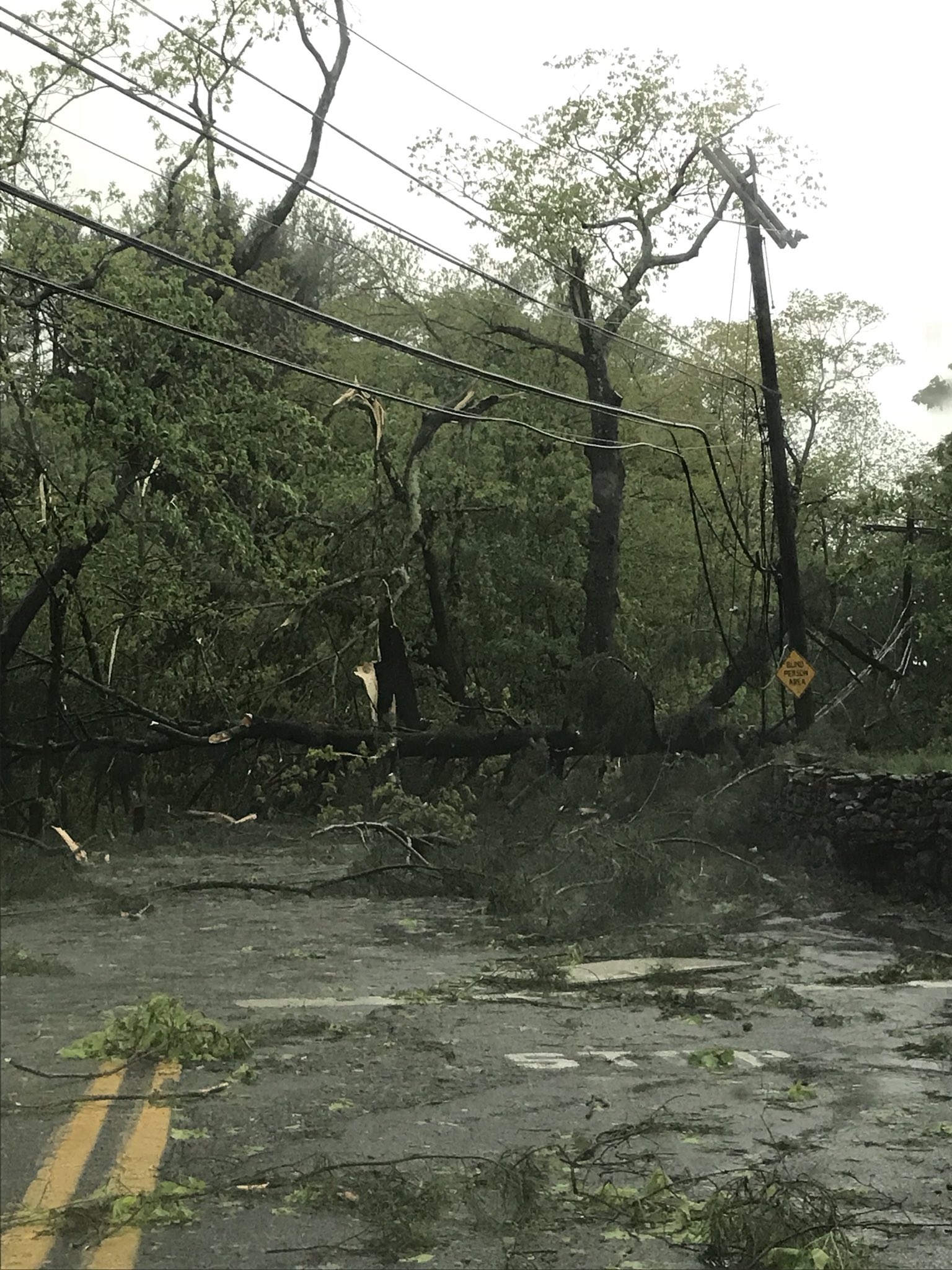 Desirae Mason took this photo showing trees down everywhere in Beacon Falls