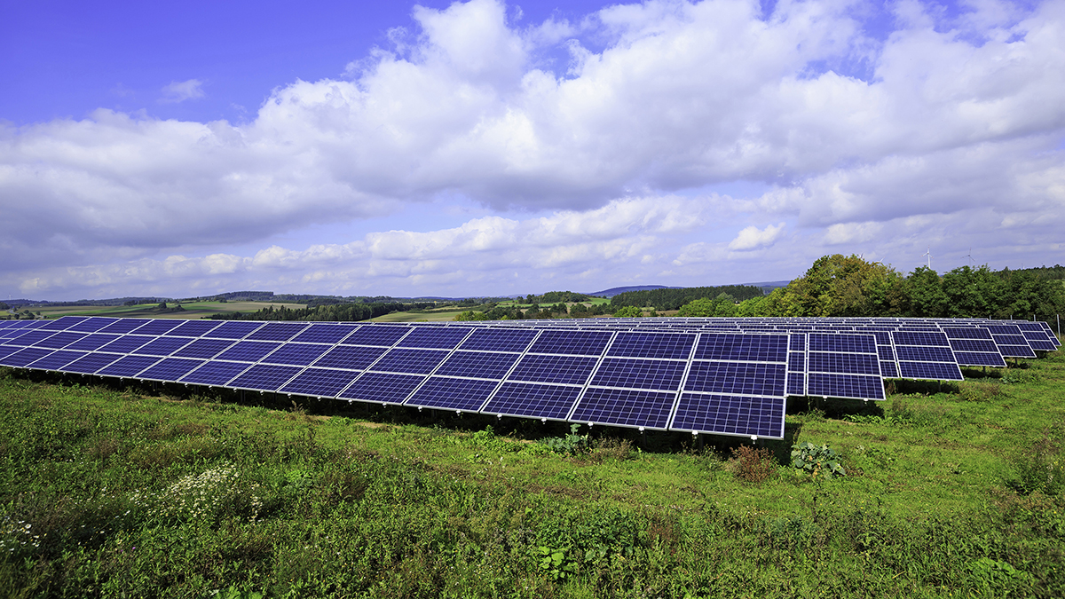 How To Switch To Renewable Sustainable Energy In