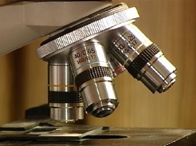 FERTILITY_640x480