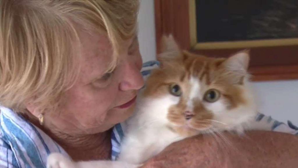 Https Www Nbcconnecticut Com News National International Family