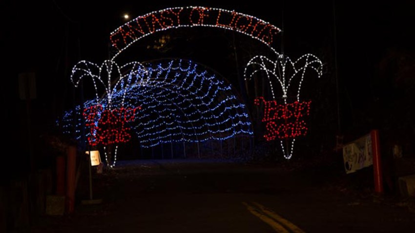 Fantasy of Lights 2016