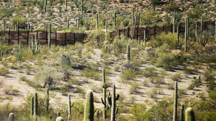The border fence is surrounded by cacti at Organ Pipe Cactus National Monument near Lukeville, Arizona