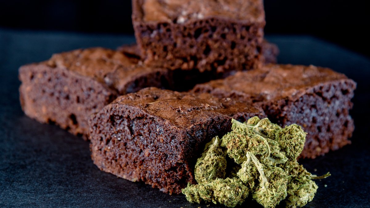 South Dakota Man Arrested After His Mom Accidentally Serves Pot Brownies to Seniors – NBC Connecticut - Vimarsana News