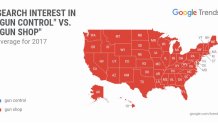 Google Trend Gun Search Interest