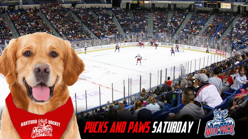 hartford-wolf-pack-host-pucks-and-paws-night-at-the-xl-center-jan-5
