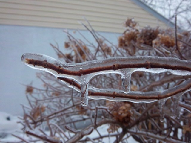 Ice-Pic-2