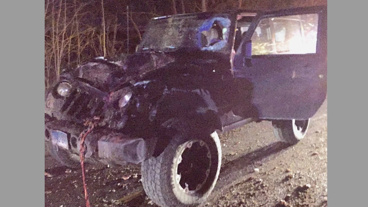 Pony and 2 Horses Killed in Chaplin Accident NBC Connecticut