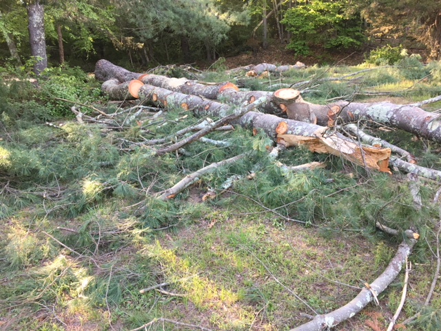 Kettletown State Park in Southbury
