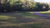2 girls escape attempted sex assault at Southbury state park by throwing rocks: Police