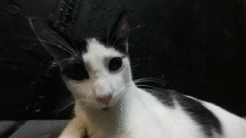 Https Encrypted Tbn0 Gstatic Com Images Q Tbn 3aand9gctn0k84qt35hmqo13fdh I6ljvckpj1ndlghg Usqp Cau