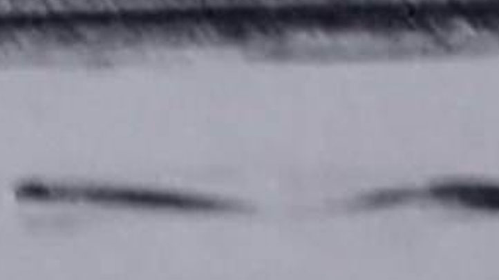 Lochness monster