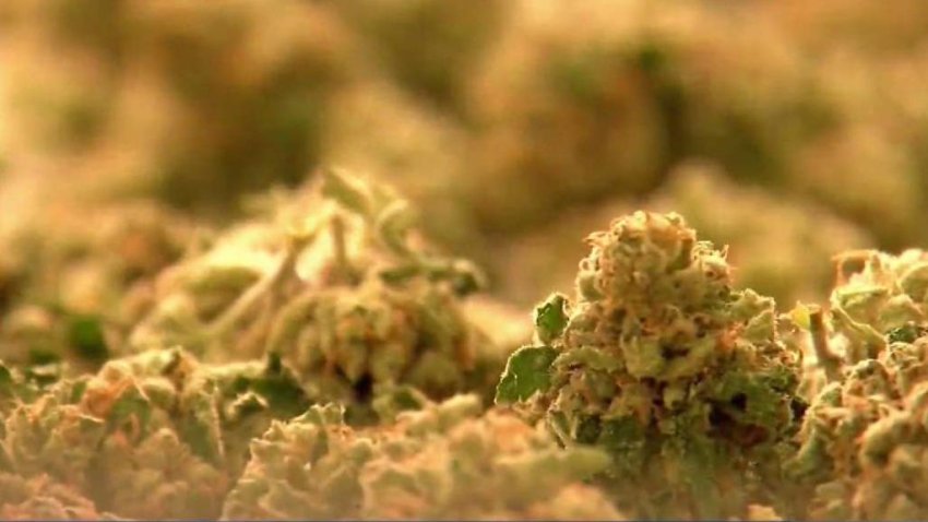 Medical_Marijuana_Dispensary_Comes_to_NYC.jpg