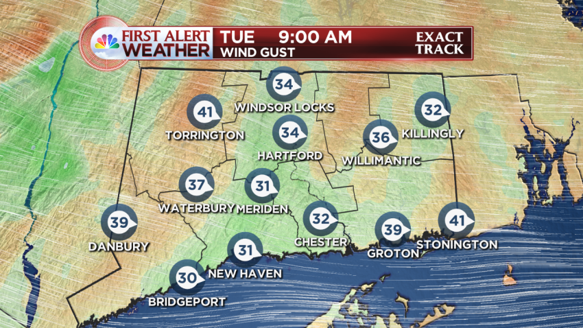 Model RPM4 Wind Gust CT7