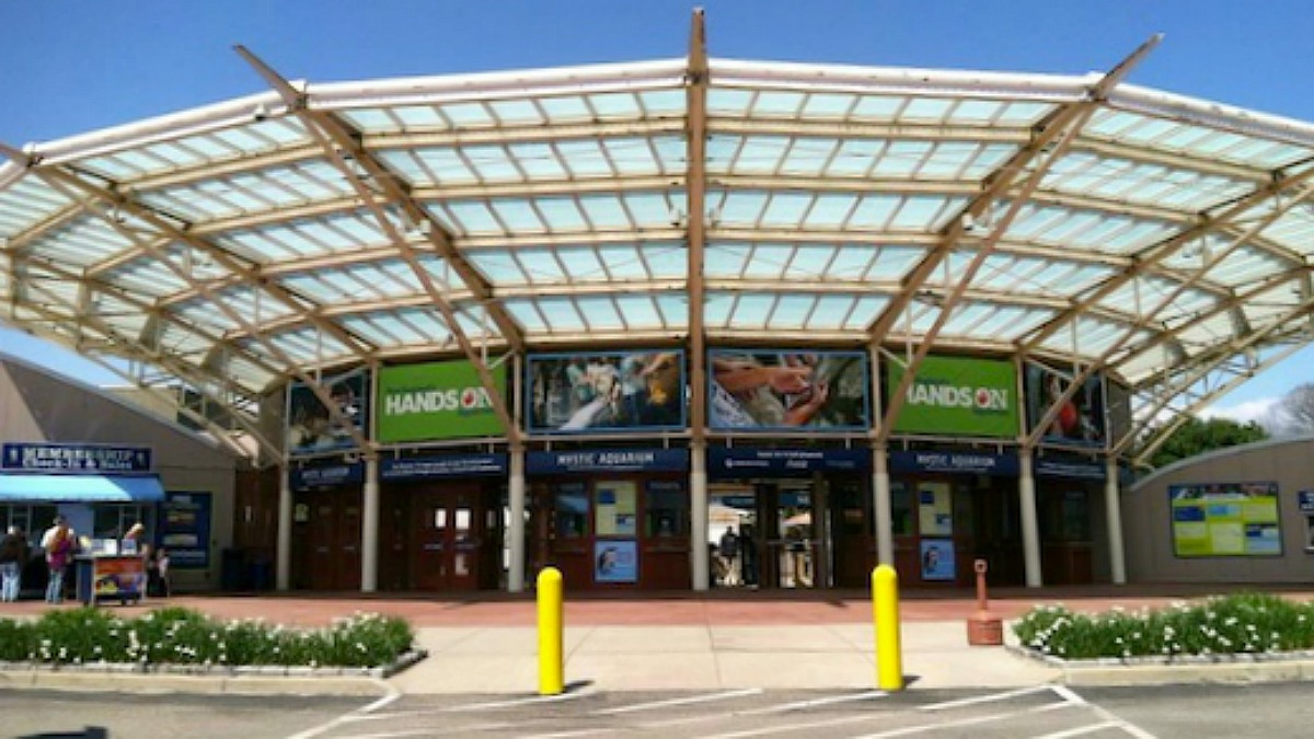 Mystic Aquarium to Reopen to the General Public on Friday NBC Connecticut