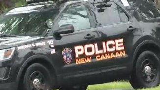 Police Searching for Owner of Dog That Bit Person in New Canaan - Vimarsana News
