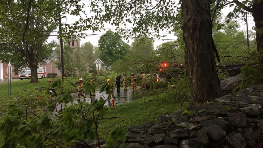 New Fairfield tree fell on car