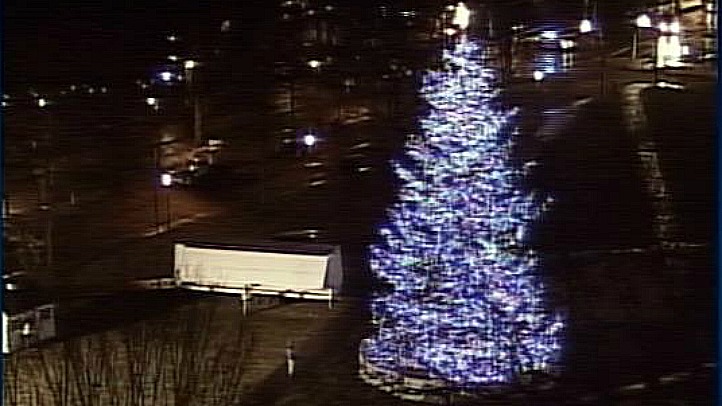 New Haven Christmas tree1