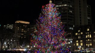 New Haven tree lighting 2019