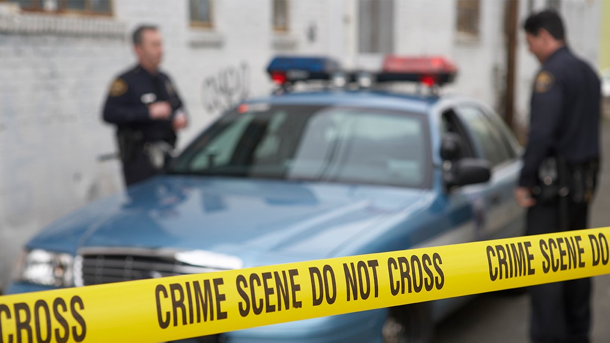 Authorities: NC Man Stabbed Dog to Death, Cut It in Half