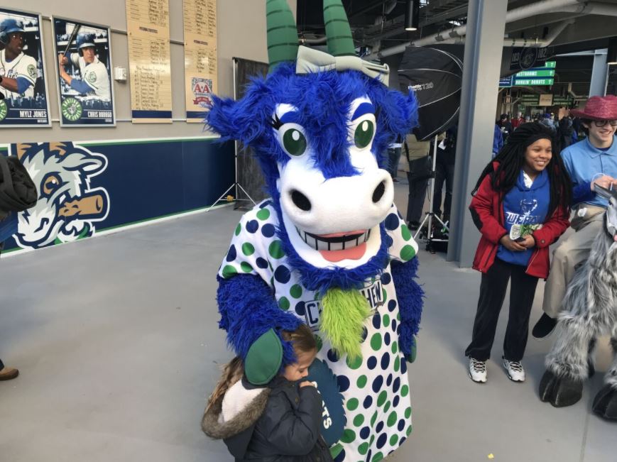 This is something he's always wanted to do': Hartford Yard Goats hold mascot  auditions ahead of offseason appearances