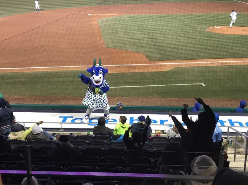 Baseball Is Back With Hartford Yard Goats Kicking Off Season – NBC  Connecticut