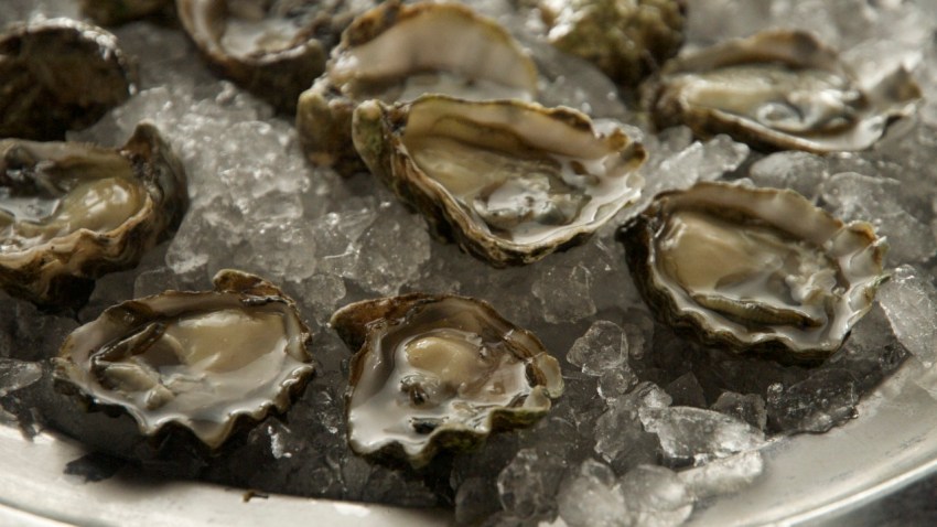 Oyster shot