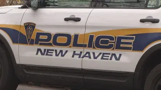 New Haven Police Cruiser Generic