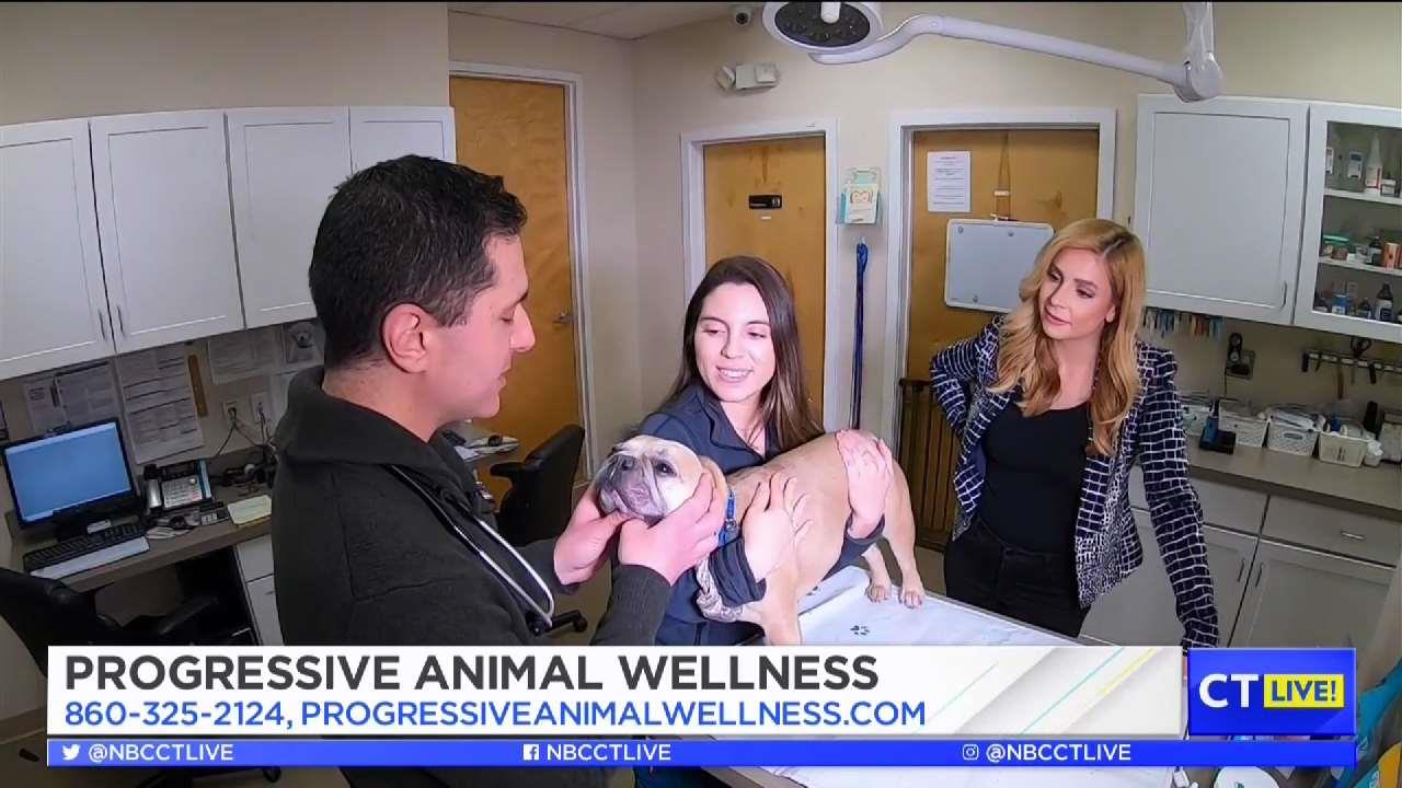 Progressive Animal Wellness – NBC Connecticut