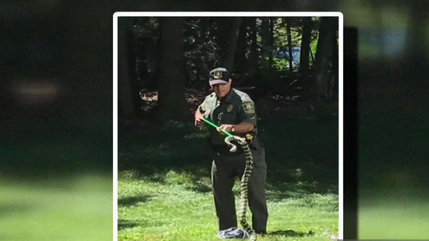 Python DEEP