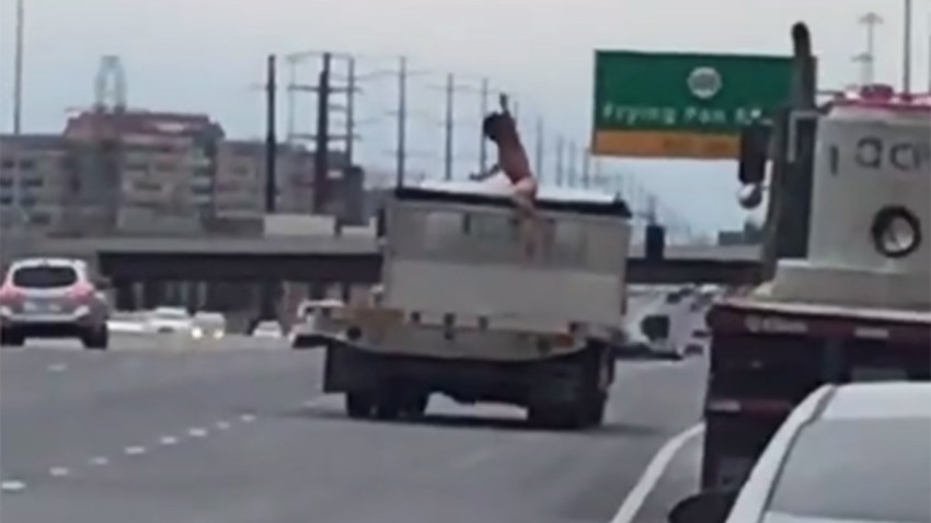 Naked Man Jumps Onto Moving Truck Near Dulles Airport 