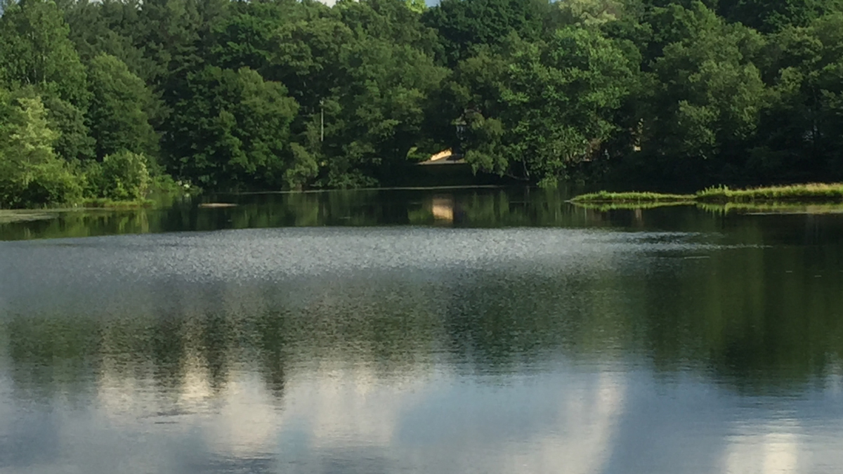 Man Dies After Being Pulled From Sylvan Lake in Watertown NBC Connecticut